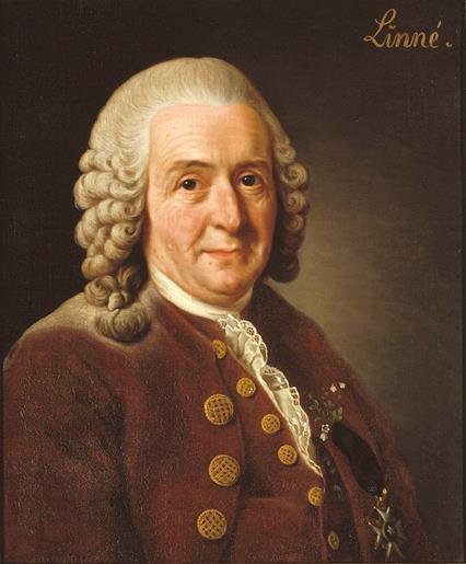 Vem var Carl von Linné 1. Du ska ta reda på fakta om och kring Carl von Linné. Du kan använda vilka medium du vill.