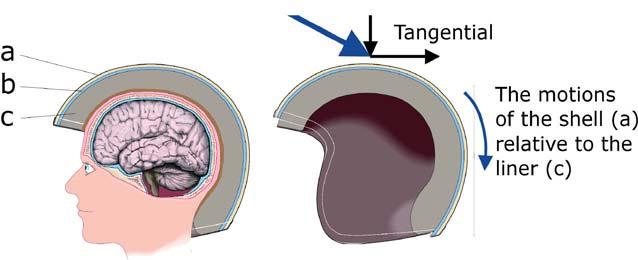 Figur 2. Visar töjningen (y-axel) i de centrala delarna av hjärnan som en funktion av tiden (x-axeln).