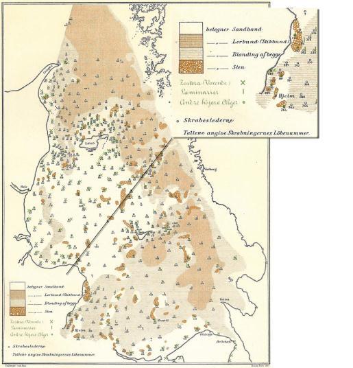 Bottentypskarta från slutet av 1880-talet, vit färg anger sandbotten, brun anger lerbotten, beige anger blandning av dessa båda och bruna runda cirklar anger sten och hårdbotten.