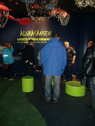 På kvällen arrangerades en guidad visning på Akvariet Havets Hus.