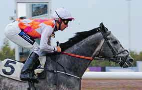 TIPS & RANK V4 & V5 GÖTEBORG GALOPP BANKOD 45 AV ULF ZEIDER Lopp 1, V4-1 Lopp 2 - V4-2 Lopp 3 - V4-3, LD-1, SK Lopp 4 - V4-4, LD-2, V5-1 Lopp 5 - V5-2 Lopp 6 - V5-3, V3-1 Lopp 7 - V5-4, V3-2 Lopp 8 -