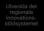 Komponenter i Vinnväxtinitiativens verksamhet Göra insatser för att utveckla styrkeområdets innovationssystem i regionen Agenda 2030 och jämställdhetsintegrering drivkrafter för förnyelse och