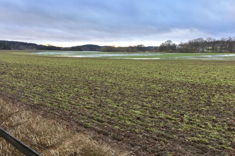 Skötselzon C: Åker och vall 126 ha Beskrivning: Åkermark som förvaltas och brukas av markägaren. Försöksverksamhet och undervisning pågår på delar av markerna.
