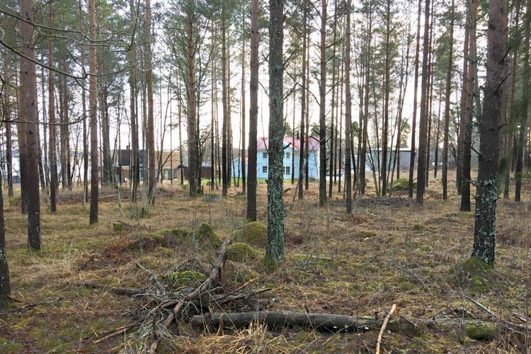 Skötselzon F: Barrdominerad skog 30 ha Beskrivning: Området utgörs huvudsakligen av likåldriga tallbestånd, yngre än 100 år. Bitvis förekommer även bestånd med lärk, gran, silvergran och björk.