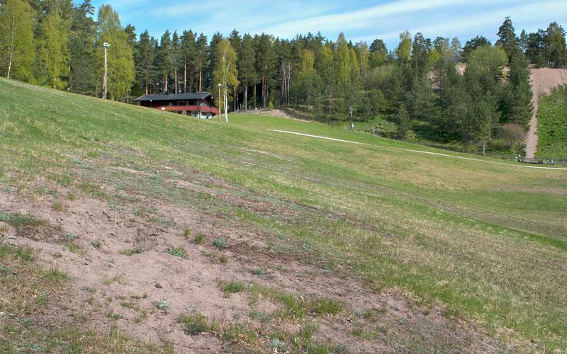 Den har en sandig-grusig jordmån av åsmaterial och är väldränerad.