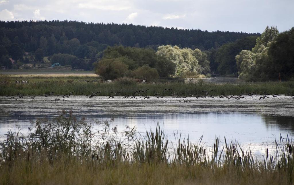 Plan Övergripande mål är att bevara ett öppet kulturpräglat landskap med vatten, åkermark, betesmark, fuktängar, friska och torra marker samt skogsområden och åsmiljöer.