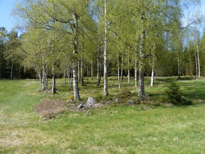 Bilaga 4. Generella biotopskyddsobjekt Bakgrund Generellt biotopskydd gäller vissa utpekade biotoper enligt miljöbalken 7 kap. 11.