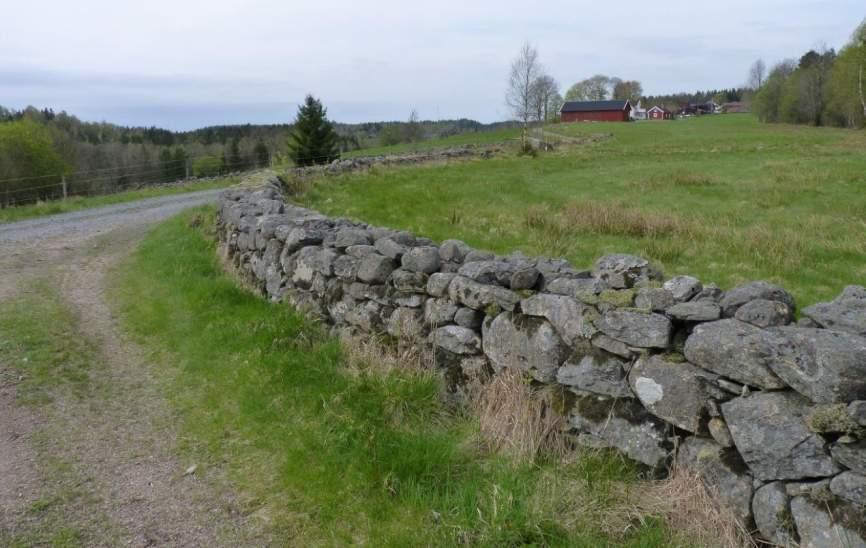 Stenmur i jordbruksmark Tjugotre stenmurar noterades, vilket gör
