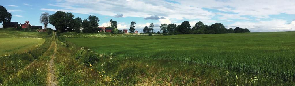 ALLA VINNER PÅ EN GOD AFFÄR. Vi är övertygade om att goda affärer skapas när båda parters bästa står i centrum. Därför gör vi allt för att anpassa oss efter dina behov.