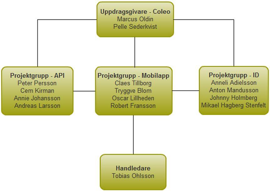 Projektorganisation Uppdragsgivaren till detta projekt har varit Coleo Vision AB som består av Pelle Sederkvist och Marcus Oldin.
