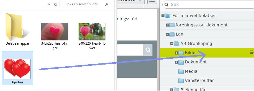 I detta exempel laddar jag upp mina filer i en mapp som heter Bilder (2) under AB Grönköping 3.