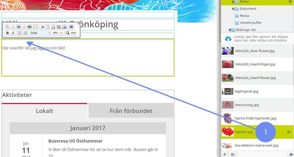 Lägga in en bild i på en sida jag har skapat Om du vill lägga in en bild på en sida så är det så att där du ställer musmarkören så är det där bilden hamnar.