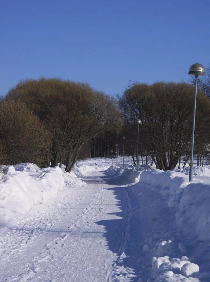 3.4 Drift och underhåll Vinterväghållning Bild 4. Svartuddsleden i vinterskrud. Alla delar av trafiksystemet kan inte åtgärdas samtidigt varför en prioritering måste göras.
