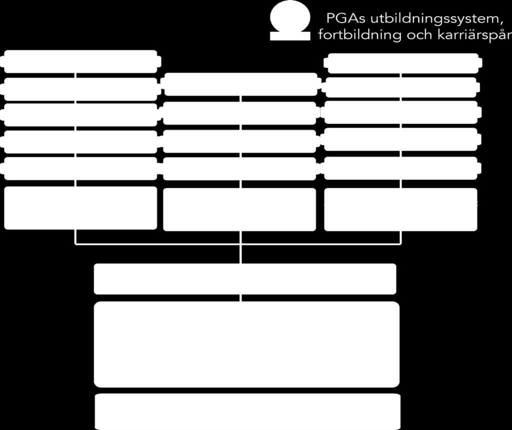 PGAs Fortbildningsprogram ger dig en möjlighet att spetsa din kompetens inom valda områden. Vi utbildar på olika nivåer.