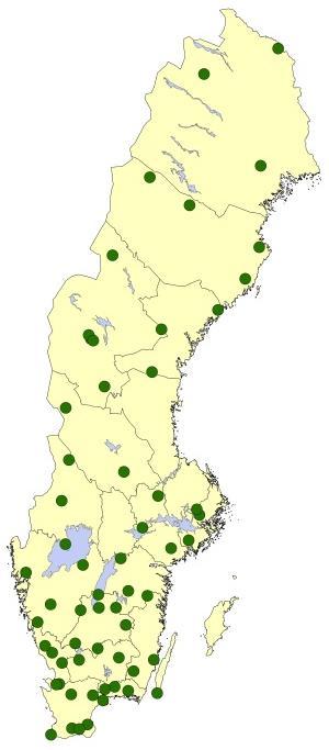 Vad är Krondroppsnätet?
