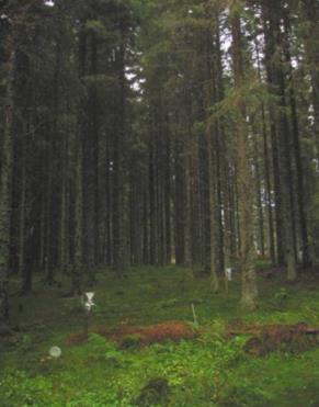 Kraftig minskning av svavelnedfall i länet och i övriga Sverige.