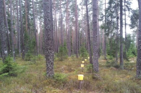 Mätningar i länet 2016/2017 Mätplats Dominerande