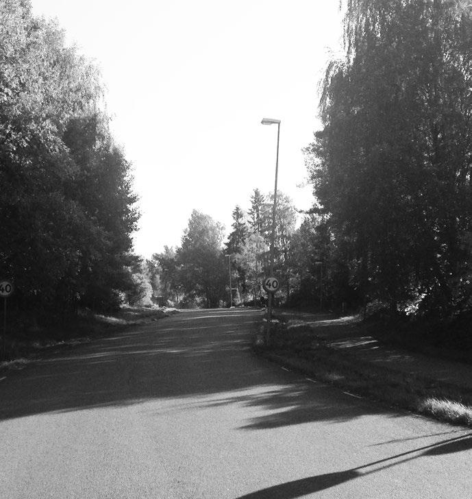 MATARGATA MED GÅNG- OCH CYKELSTRÅK ALT 2 TESTYTA Testytan innefattar ca 150 meter av en matargata med gång- och cykelstråk där armaturer placerats på samma stolpe.