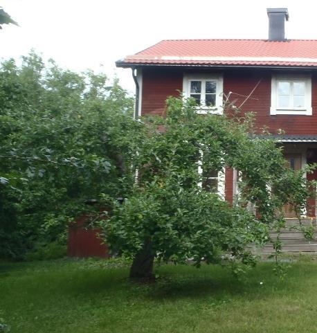 Den gamla skolan används i dagsläget som hantverkstad.