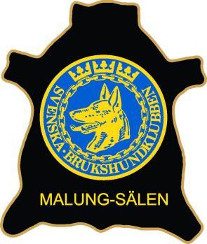 MALUNG-SÄLENS BK Råbergsvägen 11 hemsida: www.malung-sälensbk.se 782 75 MALUNGSFORS e-post: malungs_bk@hotmail.com tel.