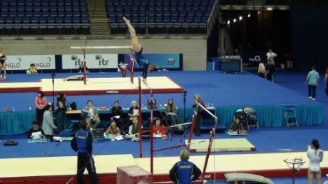 Alla detaljer om tävlingen finns på Internationella Gymnastikförbundets mikrosajt. Här är också en länk till hemsidan för VM-tävlingarna.