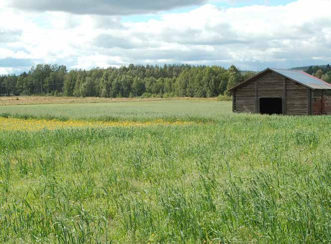 Det är förbjudet att: deponera avfall eller gräva ner döda djur.