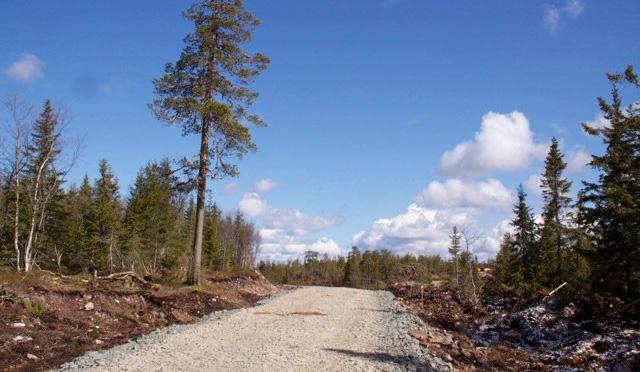 Fjällberg Vindkraftanläggning, Lycksele och Åsele kommuner 06. Nyetablerad väg vid NVAB:s vindkraftanläggning Kyrkberget.