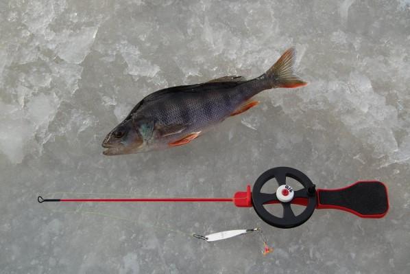 Fiske Rättvik-Boda Ungdomsfiskeförening anordnar sportlovsfiske för alla barn och ungdomar på
