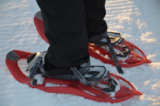 Skräddarsyr spännande rutter på snöskor för grupper.