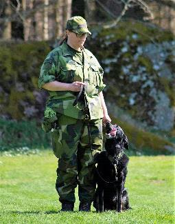 Ziba Marie Mattiasson Blekinge Patrullhund Ziba Detta är vårt 2a SM Femte plats 2017 SM är ett stort äventyr och det är extra häftigt att få deltaga på hemma plan Det