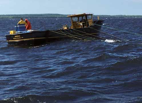 Gourmetbladet - oktober 2017 sikfiske i Wisconsin Under några blåsiga vårdagar var Lina och Stefan från oss i Lake Michigan och fiskade sik tillsammans med vår leverantör Seasam.