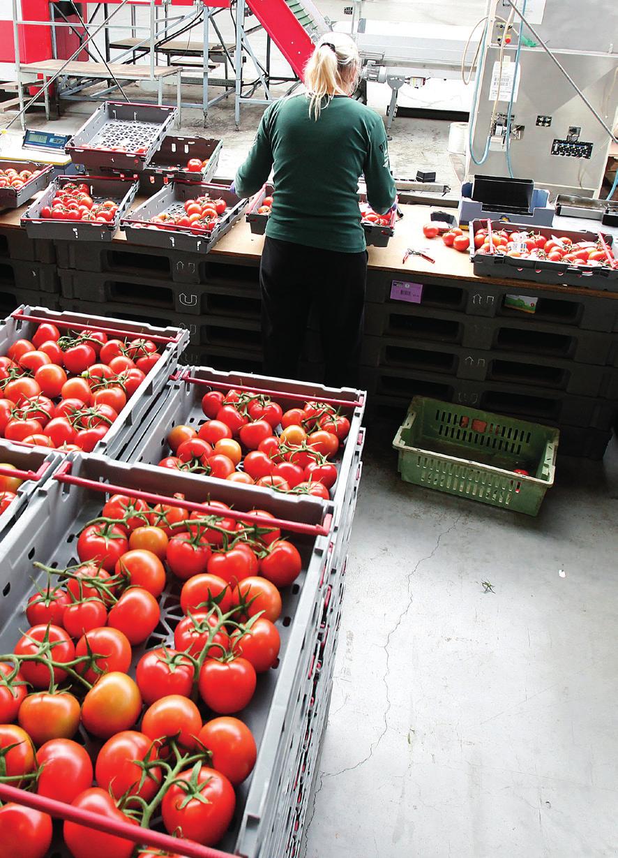 Märket Mjölk från Sverige och märket Från Sverige används på mjölk och andra mejerivaror som produceras i Sverige.