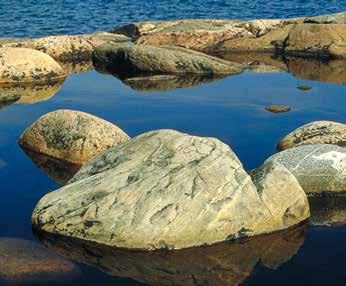 Innehåll AVLOPPSRENING för kretslopp och miljö De kommunala avloppsreningsverken är byggda för att ta emot och rena avloppsvatten från hushåll.