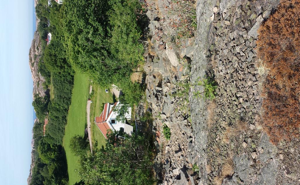 Det rörliga friluftslivet Vid platsbesök konstaterades att planområdet är betydligt påverkat av tidigare stenbrytning och skrotsten.