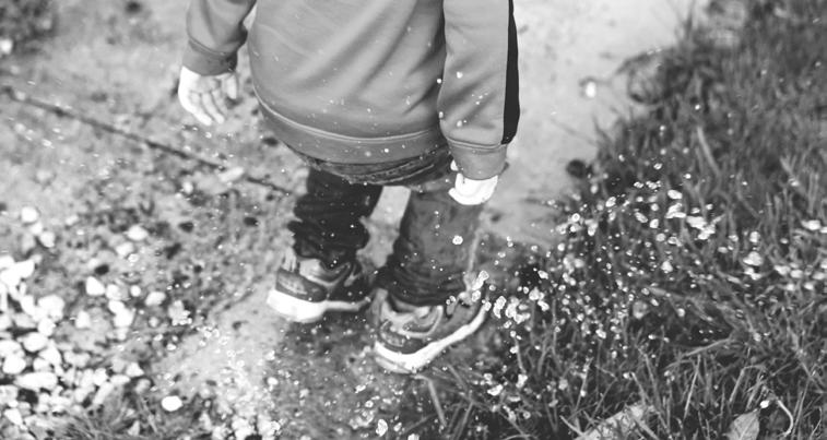 Foto: Unsplash minska mängden hårdgjorda ytor och öka mjuka som kan ta hand om regnet, säger Mathias von Scherling.