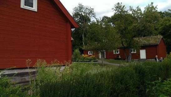 som i varma färgbad trollade fram