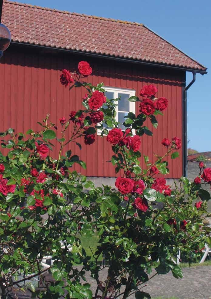 Hörnstenen