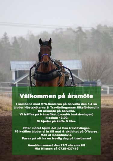 Gävletravets vassa andelsspel finns