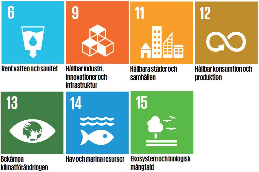 FN:s globala hållbarhetsmål som i första