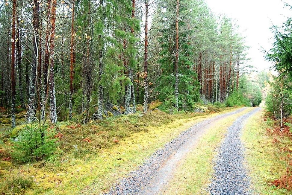 Högsby Skögle 1:8 Högsby Skögle 1:8 Om fastigheten Typ: Skogsgård Mark: 130,2 ha Pris: Högstbjudande Län: