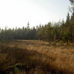 1009336 Hjärtlandakärret (F17) Kommun Myrregion Totalareal Sävsjö C 25ha Areal land varav myr Areal vatten Areal skogsmark ovan fj.gräns Areal skogsmark ned. fj.gräns varav prod.