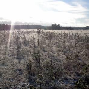 1009903 Härydsmossen Kommun Myrregion Totalareal Gislaved, Gnosjö B 147ha Areal land varav myr Areal vatten Areal skogsmark ovan fj.gräns Areal skogsmark ned. fj.gräns varav prod.