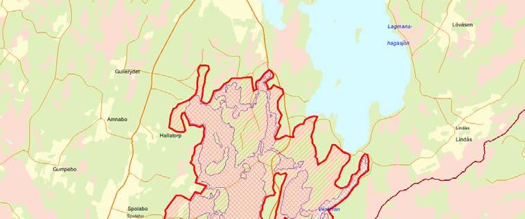 Länsstyrelsens bedömning Kättesjömossarna har höga representativa värden och utgör en värdefull skogs-myrmiljö.