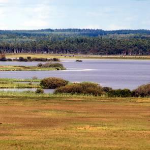 1009581 Store Mosse nationalpark (F14) Kommun Myrregion Totalareal Vaggeryd, Gnosjö, Värnamo B 8 247ha Areal land varav myr Areal vatten Areal skogsmark ovan fj.gräns Areal skogsmark ned. fj.gräns varav prod.