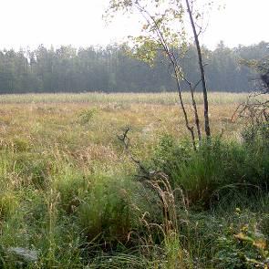 1009601 Svartåmaden (F7) Kommun Myrregion Totalareal Nässjö C 78ha Areal land varav myr Areal vatten Areal skogsmark ovan fj.gräns Areal skogsmark ned. fj.gräns varav prod.