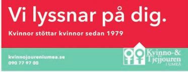 Det kan handla om våld i nära relationer, hedersrelaterat våld, prostitution, sex mot ersättning eller människohandel. Ett förebyggande arbete för att få slut på mäns våld mot kvinnor behövs.