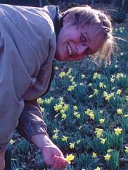 The aim is, firstly, to identify early introductions and old cultivars of narcissi grown in Sweden and, secondly, to develop strategies for the conservation, documentation and establishment of