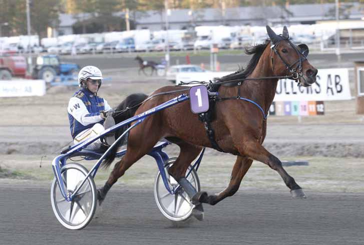 månadens häst april 2011 Sandrngham Hanover Valack 4 år e. Cantab Hall u. Sally Hanover ue. American Winner. Ägare: Leif Karlssons Grävmaskiner AB, m fl. Uppfödare: Hanover Shoe Farms Inc., USA.