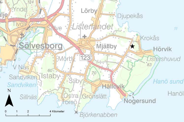 Bakgrund Inför en planerad exploatering för bostadshus inom fastigheten Mjällby 2:21 bedömdes viss risk föreligga för att under mark dolda fornlämningsspår kunde komma att beröras av byggnationen.