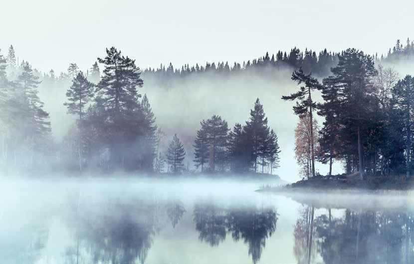 NORDIC SHIMMER Grå skyar som speglas i vattnet bildar en perfekt kanvas för träd.